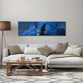 Obraz - Koronowany gołąb (170x50 cm)