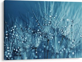 Obraz - Krople rosy (70x50 cm)