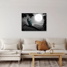 Obraz - Nocna sowa, niebieski (70x50 cm)
