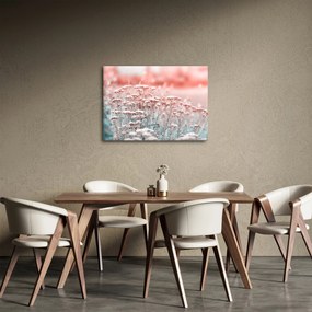 Obraz - Kwiaty polne (70x50 cm)