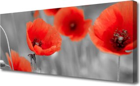 Obraz canvas Czerwone Maki w Polu
