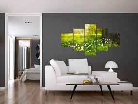 Obraz polany i kwiatów (125x70 cm)