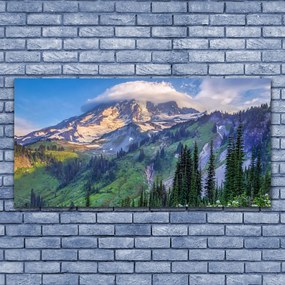 Obraz canvas na ścianę Panorama Górskiego Boru