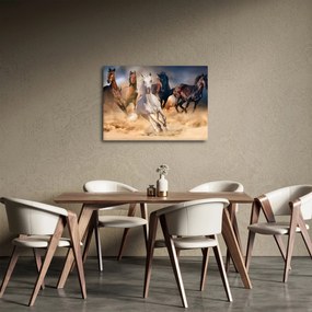 Obraz - Konie na pustyni (70x50 cm)