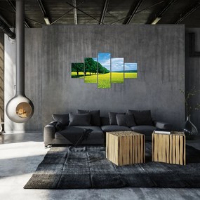 Obraz pola z aleją (125x70 cm)