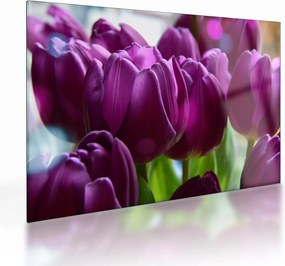Obraz na szkle - tulipanów (70x50 cm)