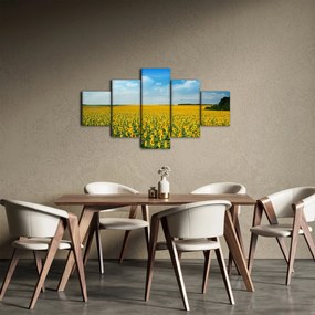 Obraz - ciąg słoneczników (125x70 cm)