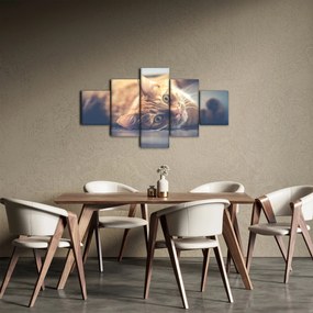 Obraz kota na podłodze (125x70 cm)