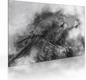 Obraz na szkle - Papugi akwarelowe (70x50 cm)