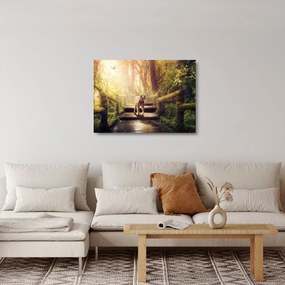 Obraz na szkle - tygrys (70x50 cm)