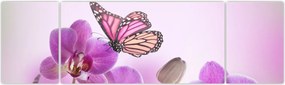 Obraz - Motyl na kwiatach orchidei, liliowy (170x50 cm)