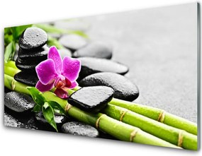 Szkło do Kuchni na Ścianę Egzotyczna Harmonia Spa