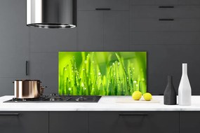 Szkło do Kuchni na Ścianę Poranne Perły na Trawie