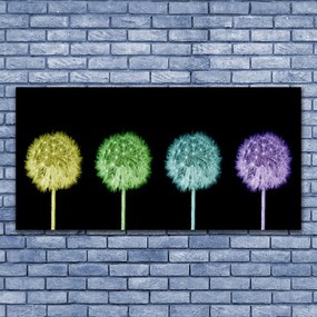 Obraz na płótnie Puszysta Kula Mniszka