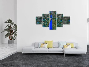 Obraz - Paw (125x70 cm)