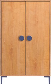 Szafa 2-drzwiowa w kolorze dębu z niebieskimi detalami.