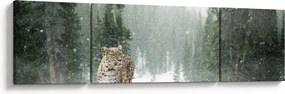 Obraz lamparta na śniegu (170x50 cm)