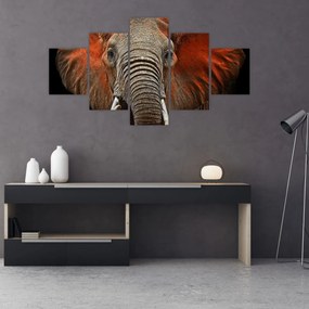 Obraz - Słonie z Tsavo (125x70 cm)