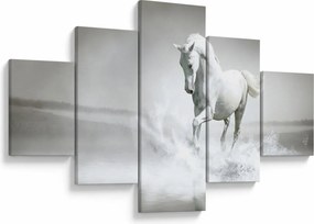 Obraz - Biały koń (125x70 cm)