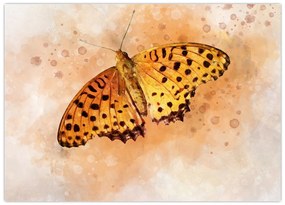 Obraz - Pomarańczowy motyl, akwarela (70x50 cm)