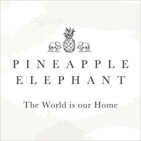 Pościel dwuosobowa w kolorze terakoty 200x200 cm Zanzibar Stripe – Pineapple Elephant