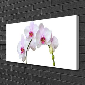 Obraz Canvas Storczyk Orchidea Kwiaty
