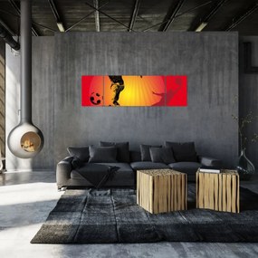 Obraz - Piłka nożna (170x50 cm)