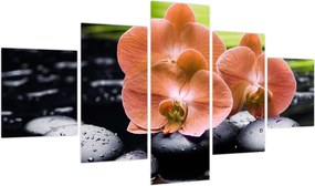 Obraz - Pomarańczowa orchidea z liśćmi palmy (125x70 cm)