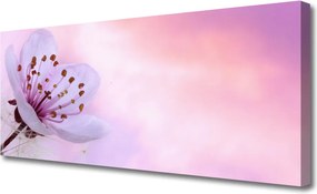 Zdjęcie na płótnie Rozkwitający Kwiat Ogrodowy