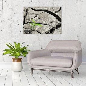 Obraz - Pęknięcia (70x50 cm)