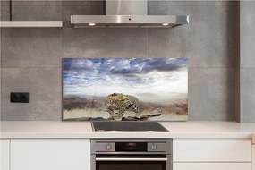 Panel szklany do Kuchni Pantera na tle Chmur