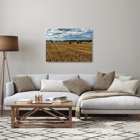 Obraz na szkle - zebrane pole zboża (70x50 cm)