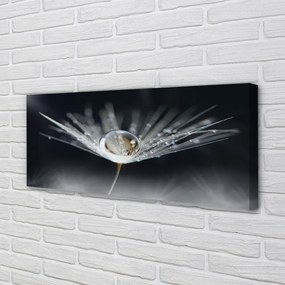 Obraz drukowany na płótnie Kryształowy Dmuchawiec w Makro