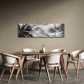 Obraz - Makro, czarno - biały (170x50 cm)