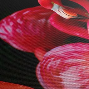 Obraz czerwonych flamingów (170x50 cm)