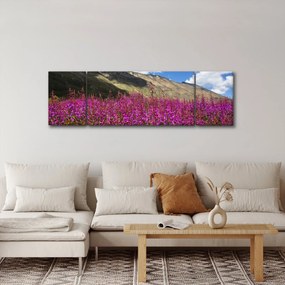 Obraz scenerii łąki górskiej (170x50 cm)