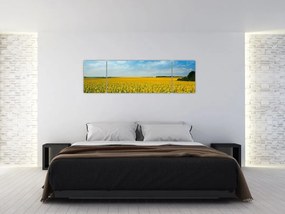 Obraz - ciąg słoneczników (170x50 cm)