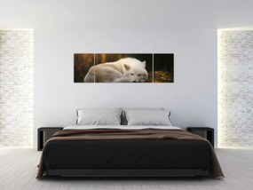 Obraz - Odpoczywający wilk (170x50 cm)