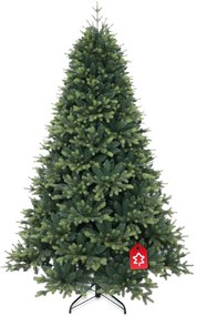 Świerk kwitnący ekstra gęsty 240 cm
