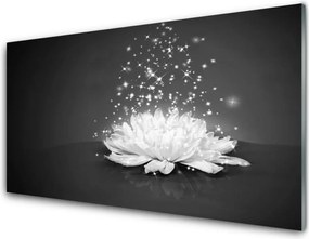 Panel Kuchenny Piękno Polnego Kwiatu