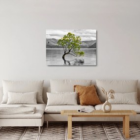 Obraz na szkle drzewa na środku jeziora (70x50 cm)
