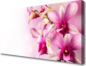 Obraz canvas Wiosenna Świeżość Kwiatów