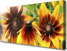 Fotoobraz na płótnie Pastelowy Ogród Botaniczny