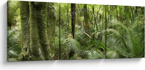 Obraz tropikalnego lasu deszczowego (z zegarem) (90x30 cm)