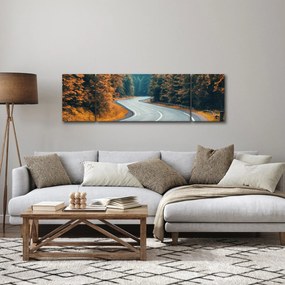 Obraz - Kręta droga (170x50 cm)