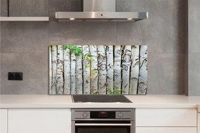 Panel szklany do Kuchni Zielone Liście Brzozy