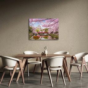 Obraz wiśni japońskiej (70x50 cm)