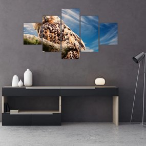 Obraz sowy (125x70 cm)