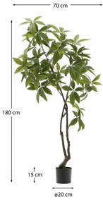Sztuczna roślina (wysokość 180 cm) Pachira – Kave Home
