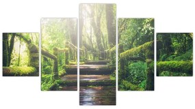 Obraz - drewniane schody w lesie (125x70 cm)